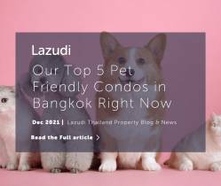 Our Top 5 Pet Friendly Condos in Bangkok Right Now