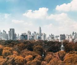 Real Estate Investment and survival Guide During Covid 19