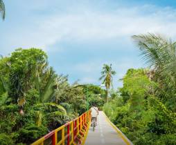 พาทัวร์บางกระเจ้า “ปอดสีเขียว” ของกรุงเทพฯ ที่เที่ยวที่ไม่ควรพลาด