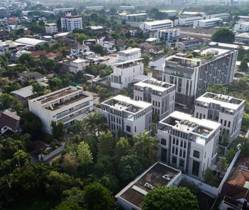Ari Neighbourhood Guide: What To Know and Where To Go