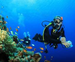 Diving in Koh Pha-ngan - an Ideal Dive Spot