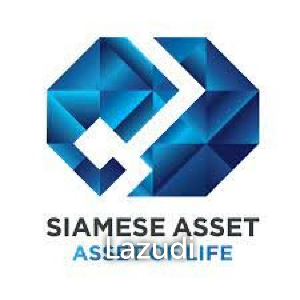 Siamese Asset