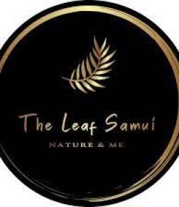 The Leaf Development