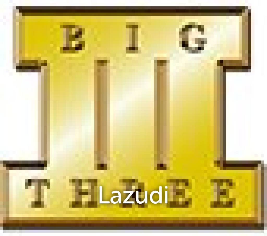 BigTree Asset