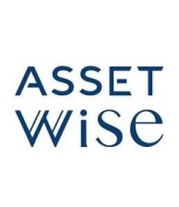 Asset Wise