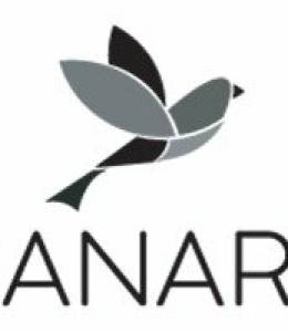 Canary Property