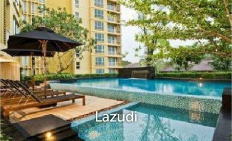 Hive Sukhumvit 65
