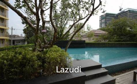 Hive Sukhumvit 65