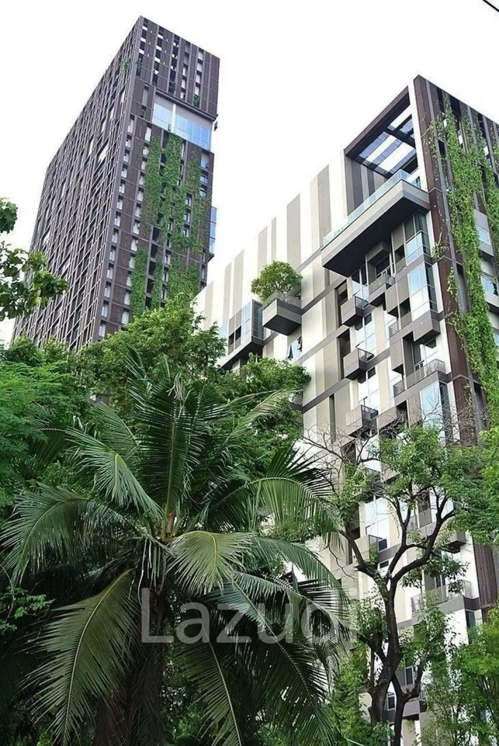 1 Bedroom 1 Bathroom 36 SQ.M Ideo Morph 38