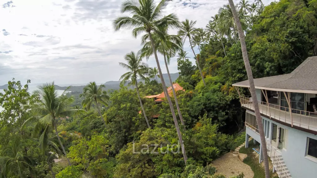 Unique Luxury Villa on Forested Hillside