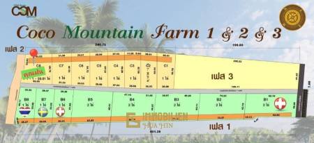 โคโค่เมาเท่นฟาร์ม