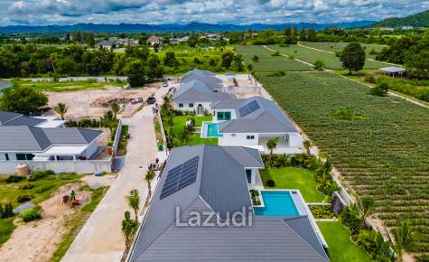Palm Avenue 4