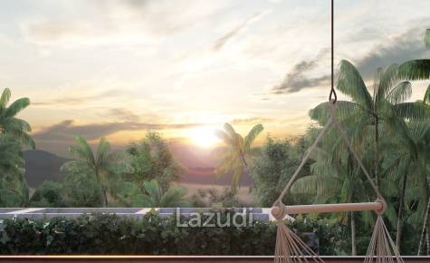 Sunny Residence