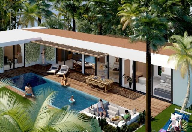 Coconut Dream