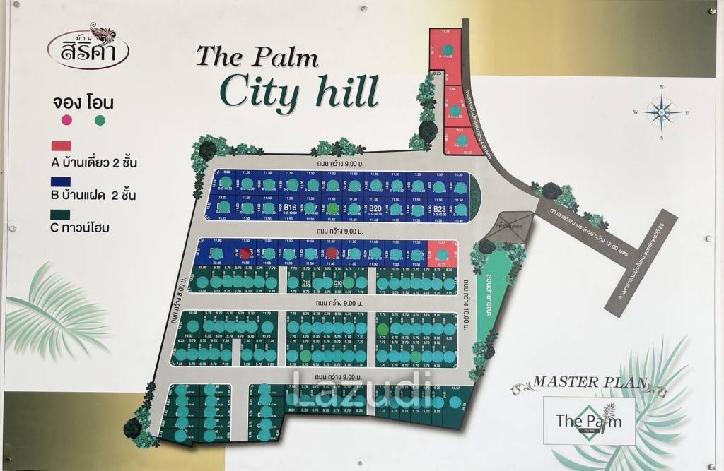 The Palm City Hill