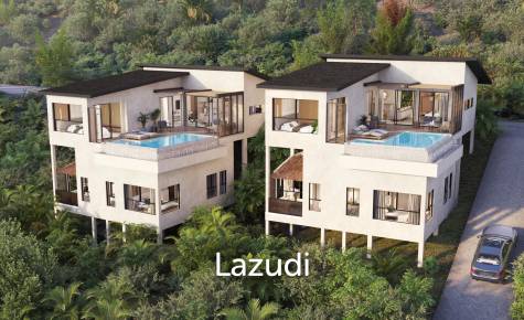 Srithanu Seaview villa