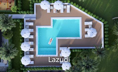 Palm Paradise