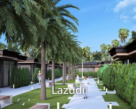 Palm Paradise