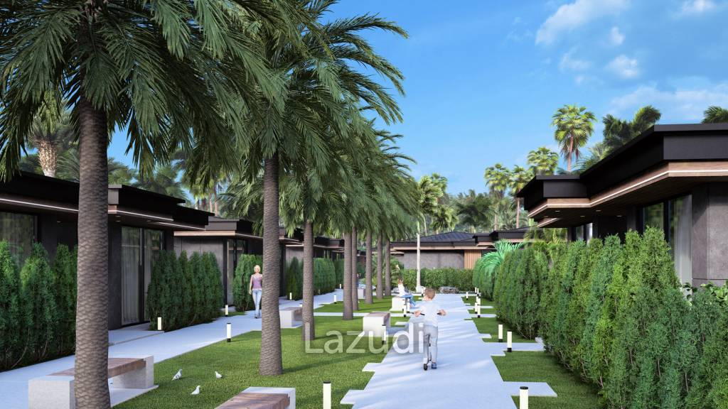 Palm Paradise