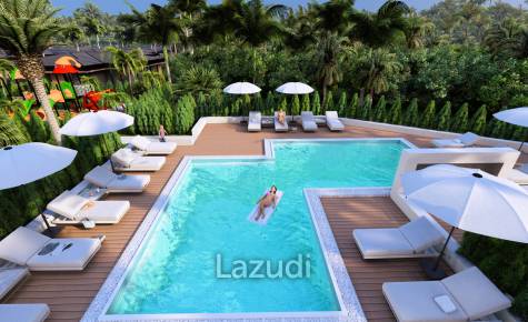 Palm Paradise