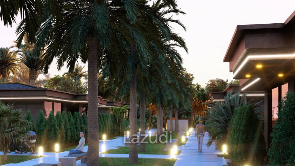 Palm Paradise