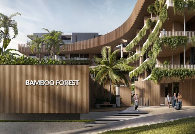 Bamboo Forest