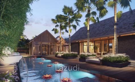 Rio Phuket