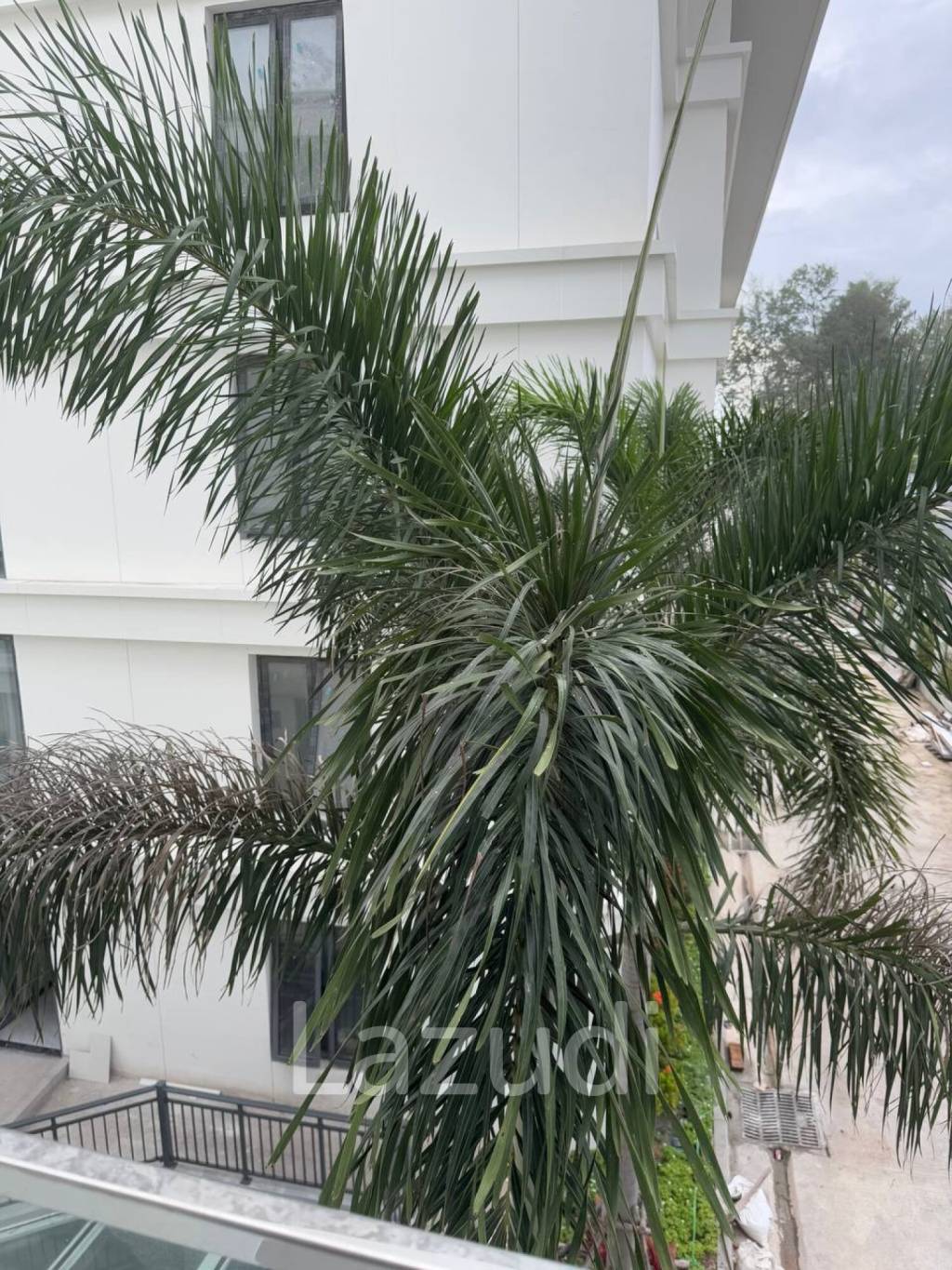 Kora Beach Resort Phuket