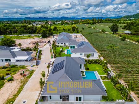 Palm Avenue 5