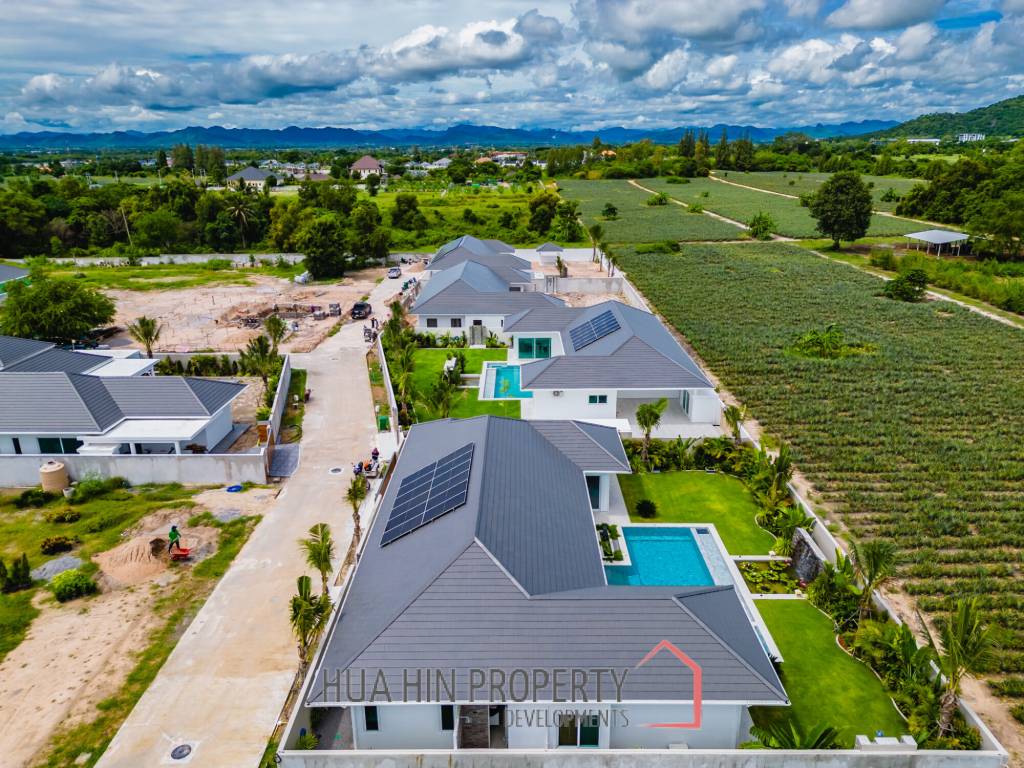 Palm Avenue 5