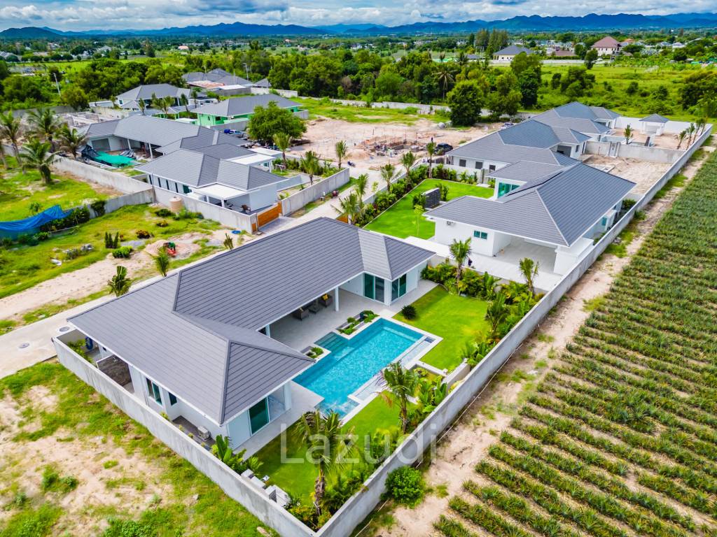 Palm Avenue 5