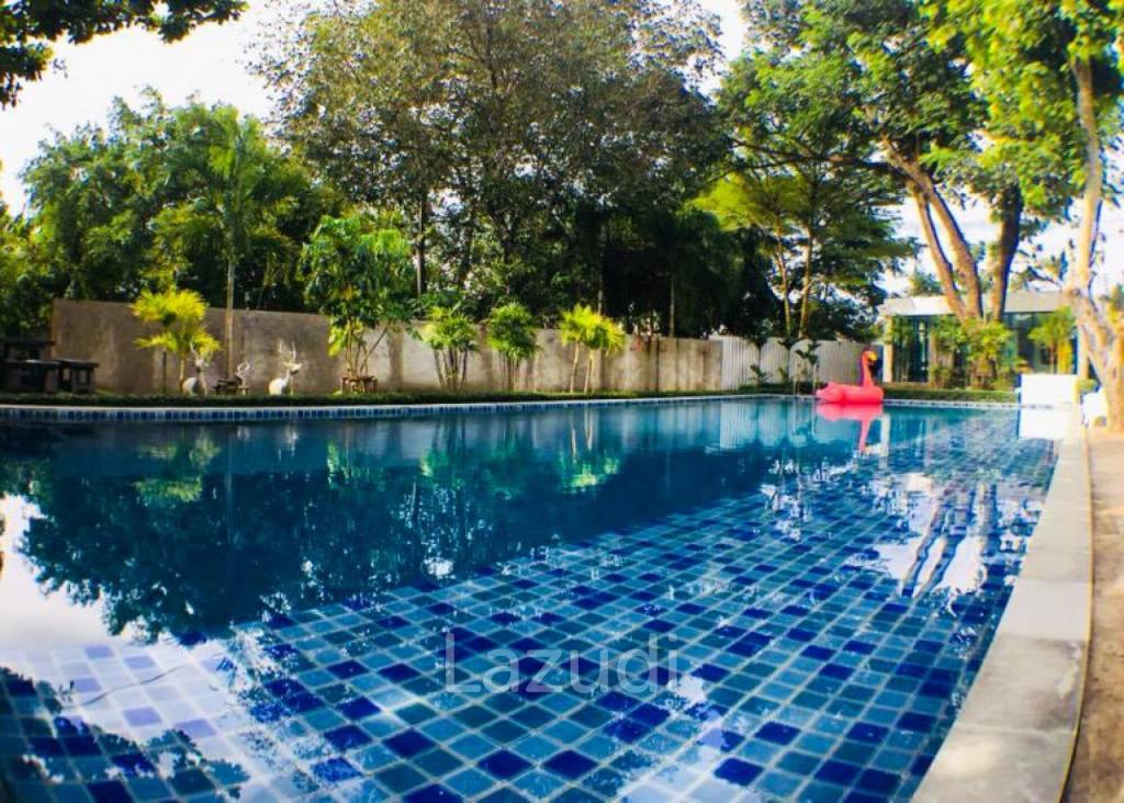 The Maple Pattaya