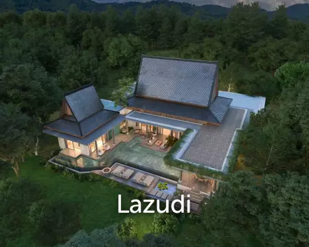 ปัญญิศา อคาเซีย