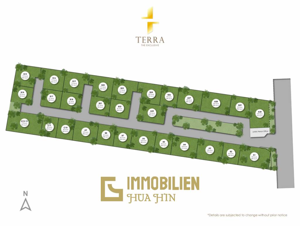 Terra The Exclusive