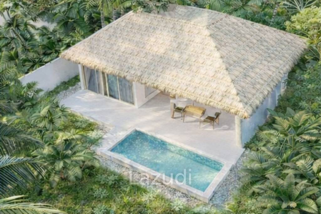 Jungle Breeze