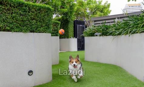 Ashton Residence 41