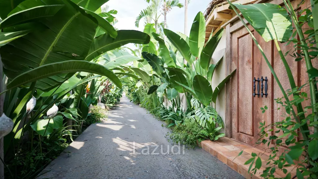 Tropical 2-Bedroom in Peaceful Lipa Noi