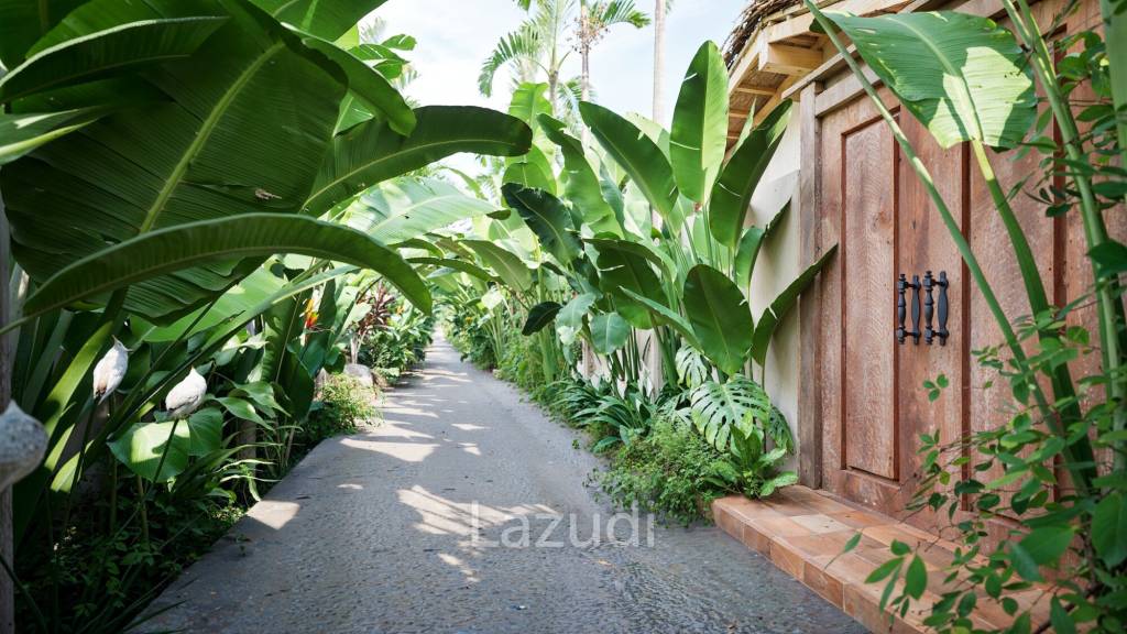 Eden tropical