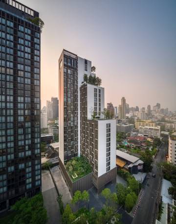โนเบิล อราวน์ เทอร์ตี้ทรี