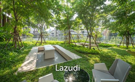 โนเบิล อราวน์ เทอร์ตี้ทรี