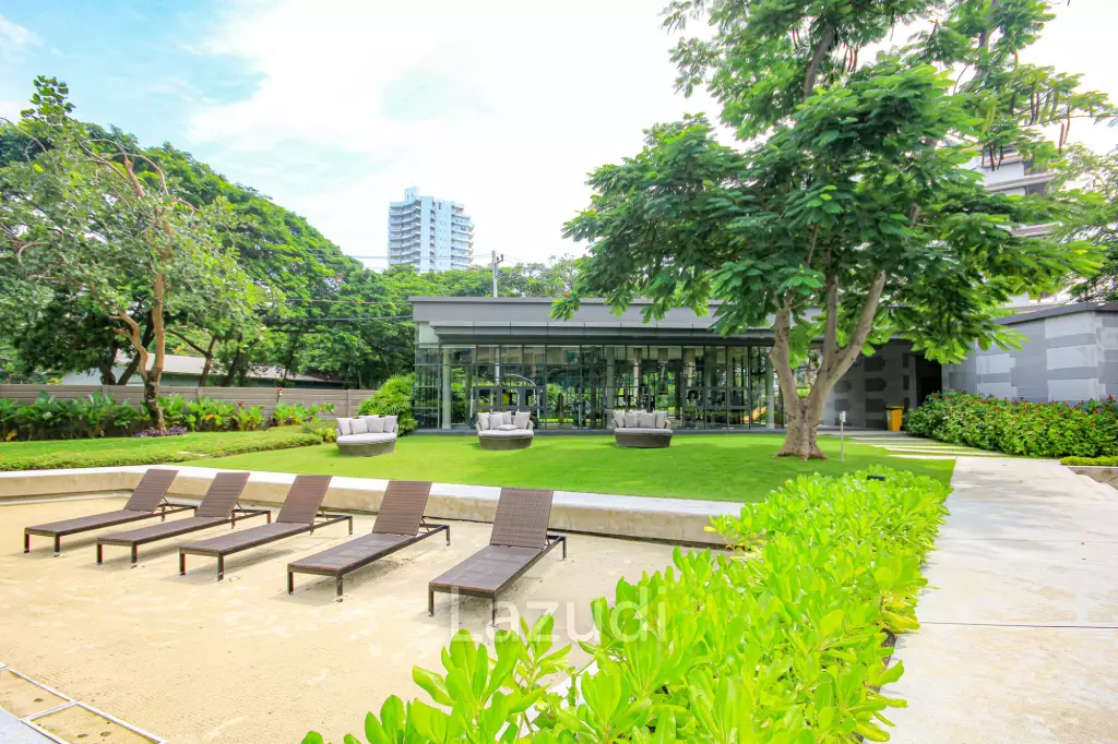 Rain: Brand New 1 Bedroom Condo