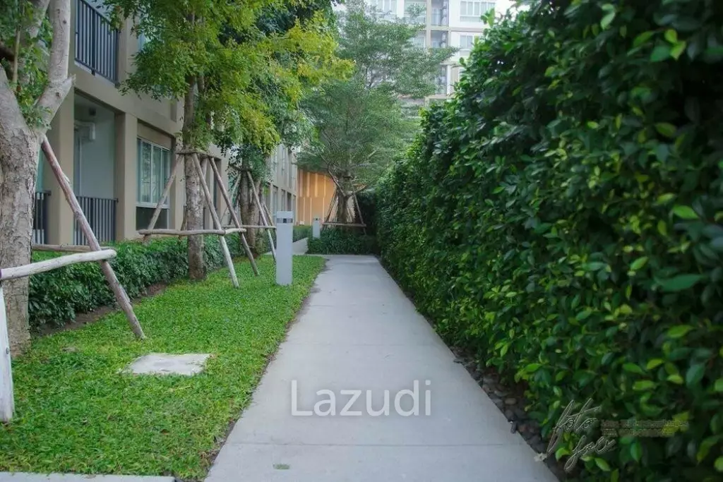 Baan Imm Aim : 30 sqm Studio Condo on 6th floor with View