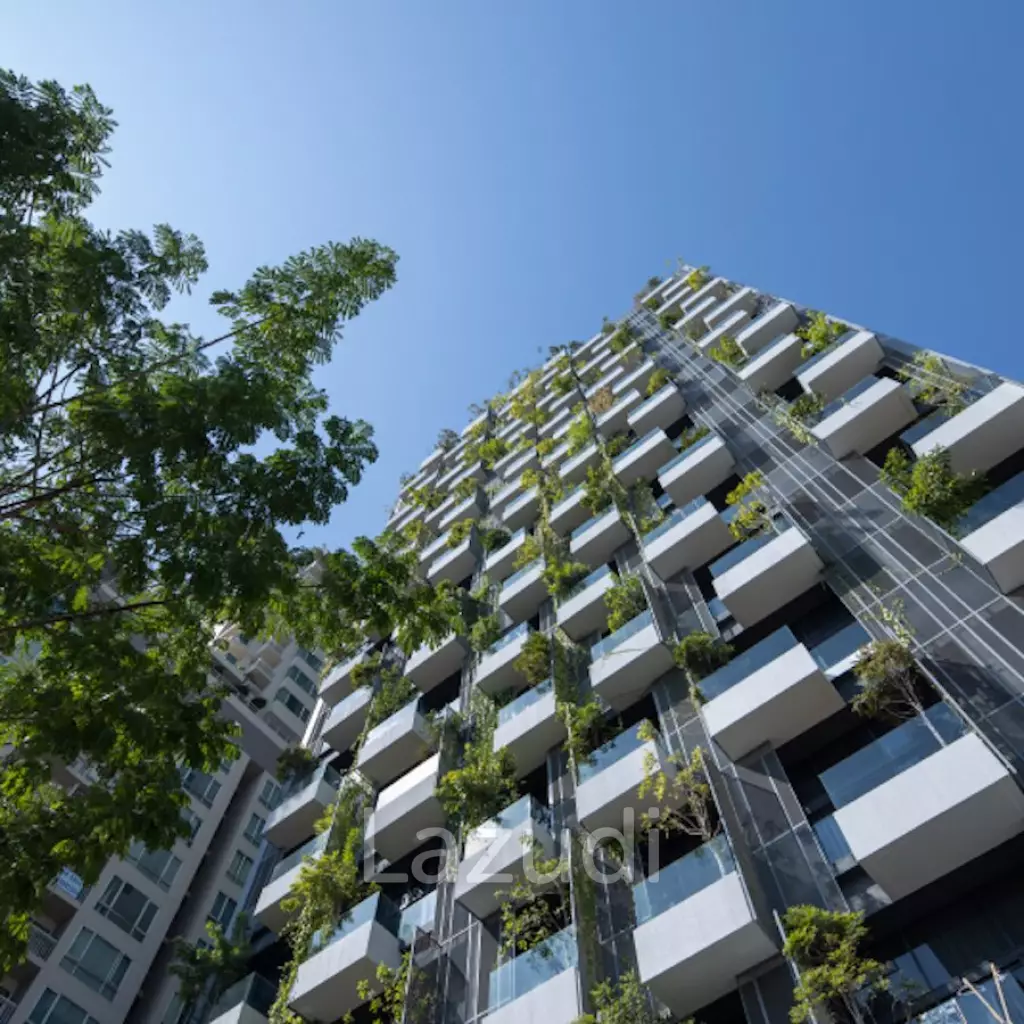 1 Bedroom Duplex 1 Bathroom 65 Sq.m Siamese Exclusive Sukhumvit 31