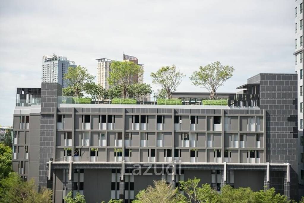 1 Bedroom 1 Bathroom 30 Sq.m The Base Park West