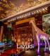 The Riviera Ocean Drive-3