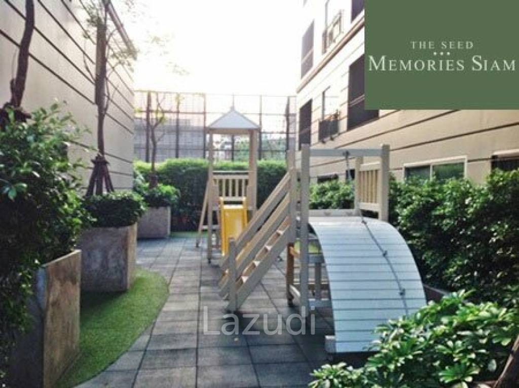 The Seed Memories Siam