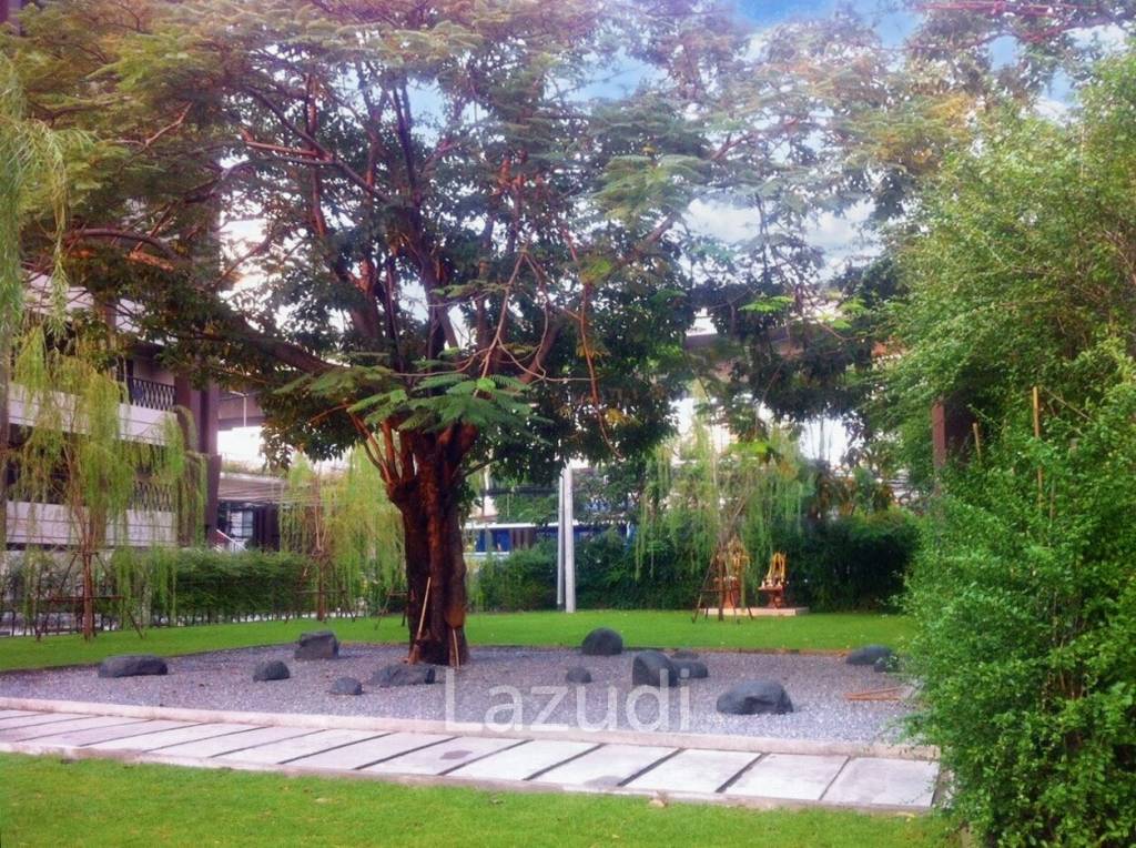 The Willows Park