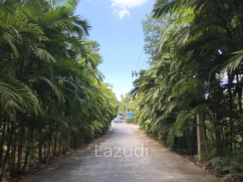 Japanese inspired 3-Bedroom Pool Villa in Soi Pasak, Thalang