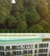 Palmetto Park Condominium-1