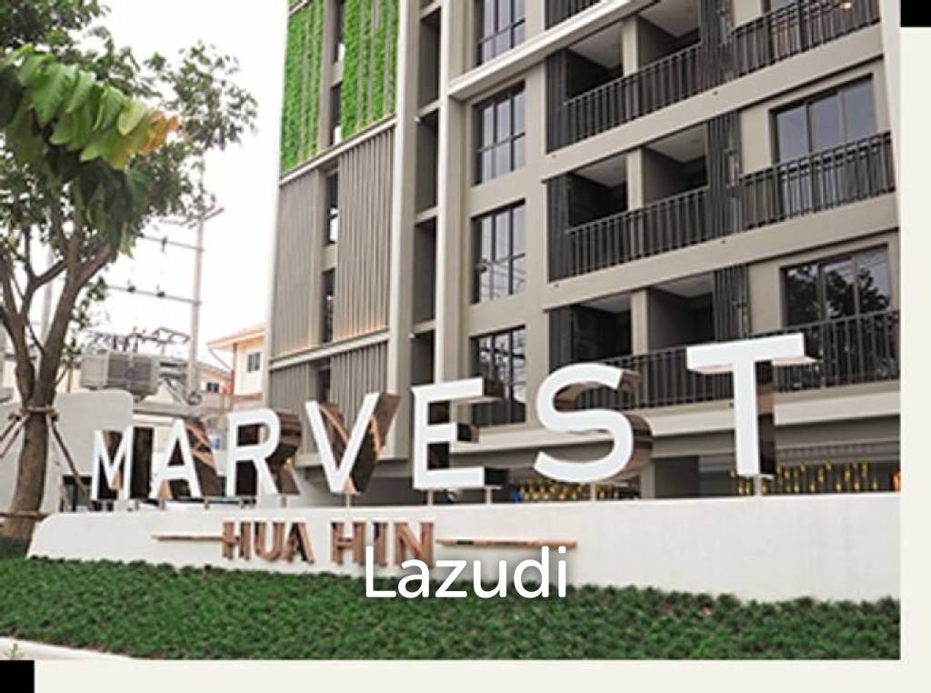 Marvest Hua Hin